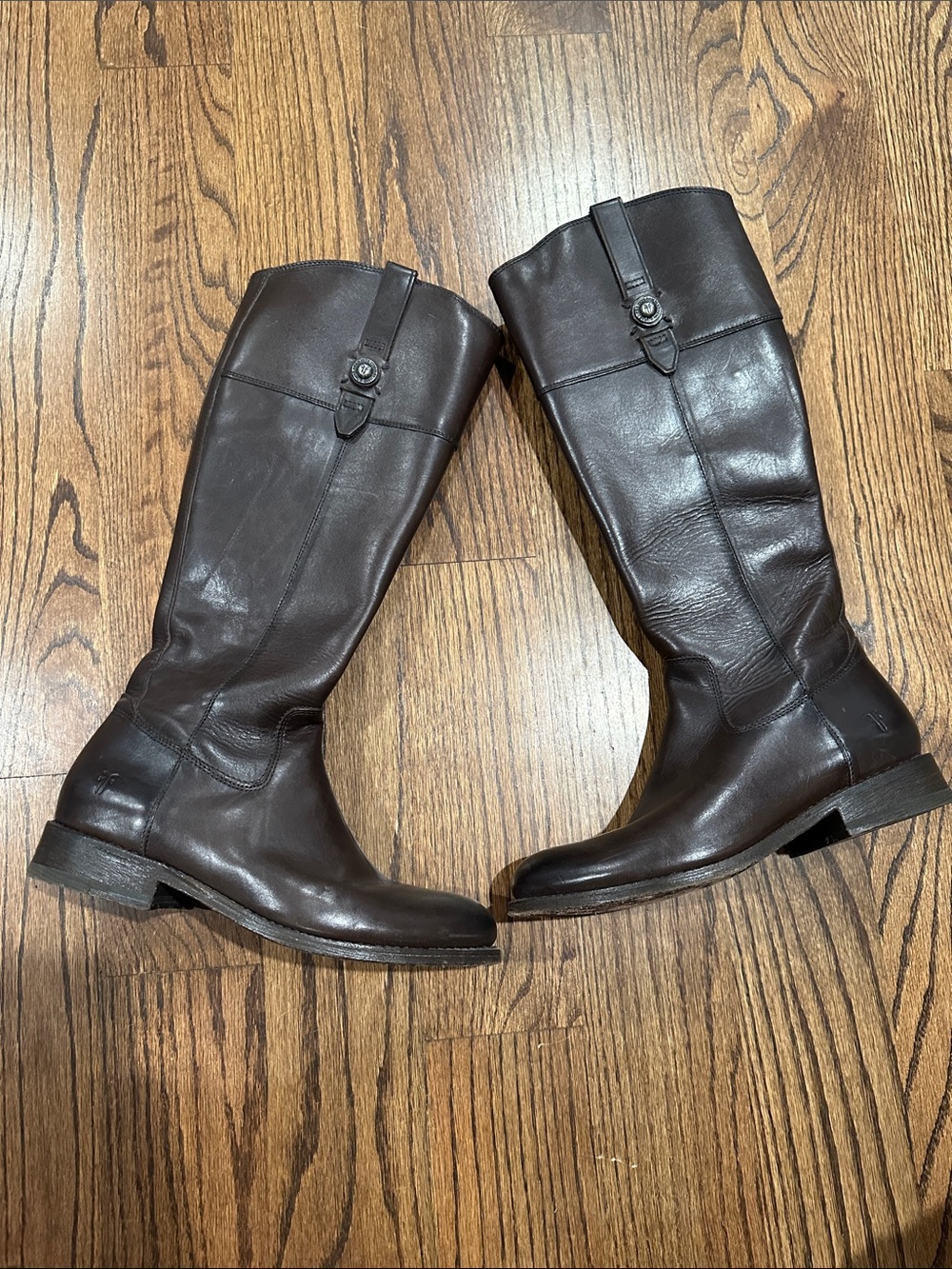 Frye Women's Tall Leather Riding Boots - Dark Brown